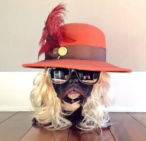 Samba Hat, Wig, Glasses